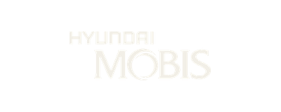 Hyundai Mobis